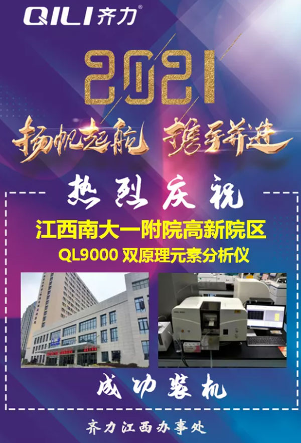 双原理元素分析仪 双原理元素分析仪